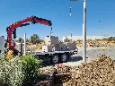 20241125_120717.webp